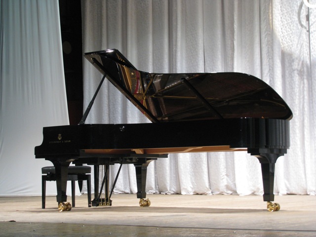У найбільших концертних залах світу 99,6% всіх фортепіанних концертів відбуваються на інструментах фірми «Steinway & Sons» 