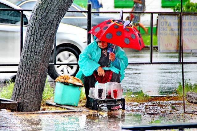 А ось як побачив дощ черкаський фотограф Олександр Костирко