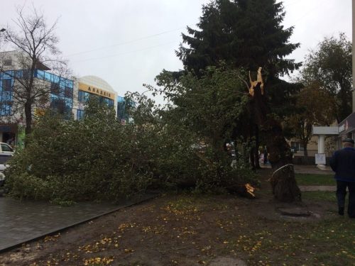 У Черкасах по вул. Небесної Сотні сильні пориви вітру зламали дерево. ФОТО: Про все