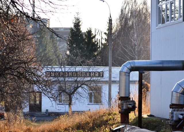 У 2008 році Віктор Тимошенко продав Смілянський цукрокомбінат, що є одним з найстаріших в Україні, після чого завод занепав. Через два роки місцеві змі повідомили, що завод офіційно запрацював і має перспективи розвитку