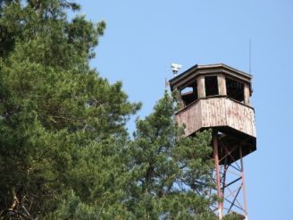 Спостережна вежа Руськополянського лісництва Черкаського лісгоспу 