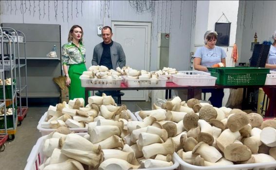 начальниця Черкаської РВА Валерія Бандурко відвідала єдине в Україні підприємство, яке вирощує ерінги в таких промислових масштабах.