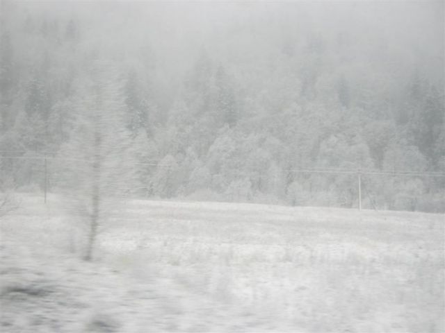 Карпати зустріли снігом