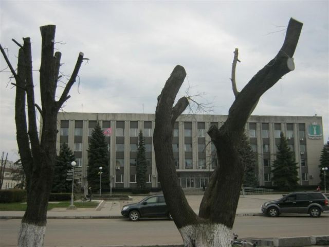 Кронування дерев по-смілянськи 
