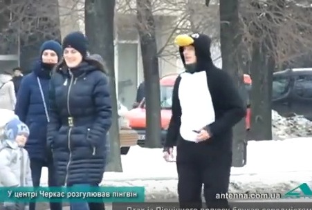 16252130_1895106270702470_8210395769762183768_o