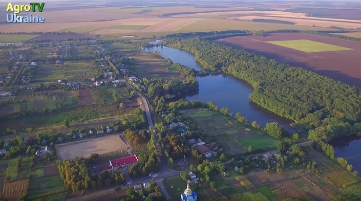 15965331_175613086254365_8954869322208306296_n