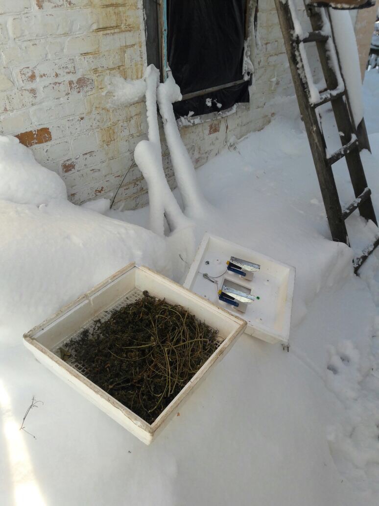 0-02-05-ee68e2511ebc4e15139c04477984303f5e31f6a261da6e97da9935e701da2569_full