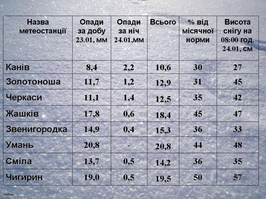 50771252_2052728384821772_3654823139453435904_n