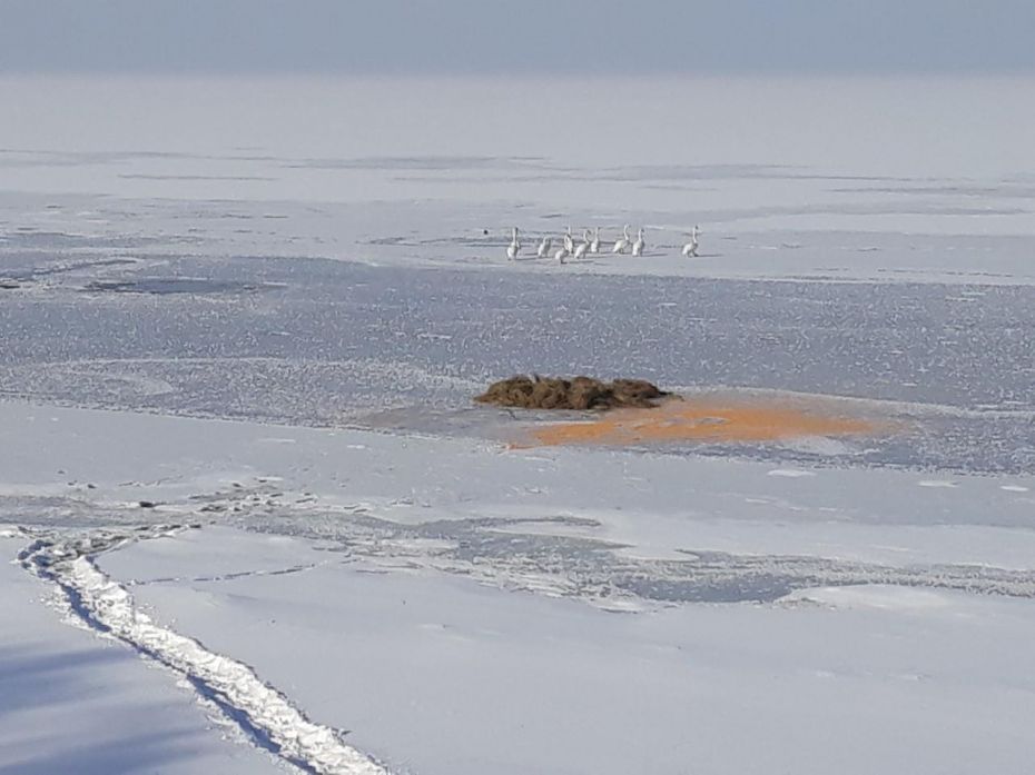 50905728_960802590782289_6848073148697411584_o