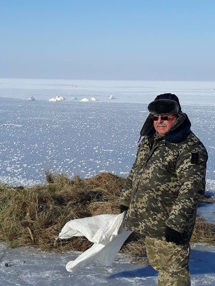 50775346_960802530782295_5843932678478364672_n