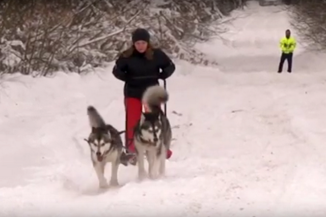 Безымянный