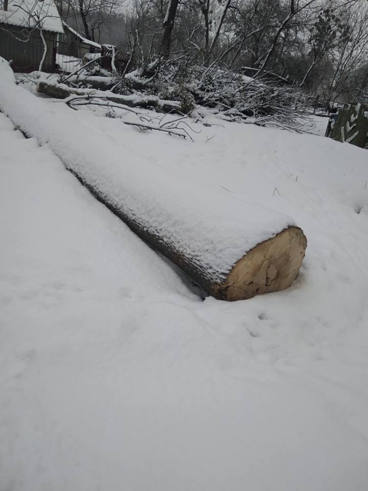 51174314_961373937391821_1078243744295157760_n