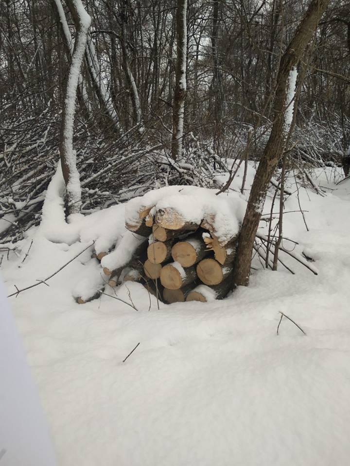 50767676_961374004058481_2118075719161479168_n