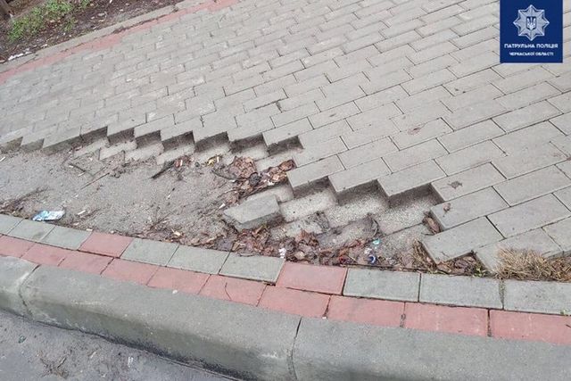 81945283_2647897881954938_8405213232624566272_o