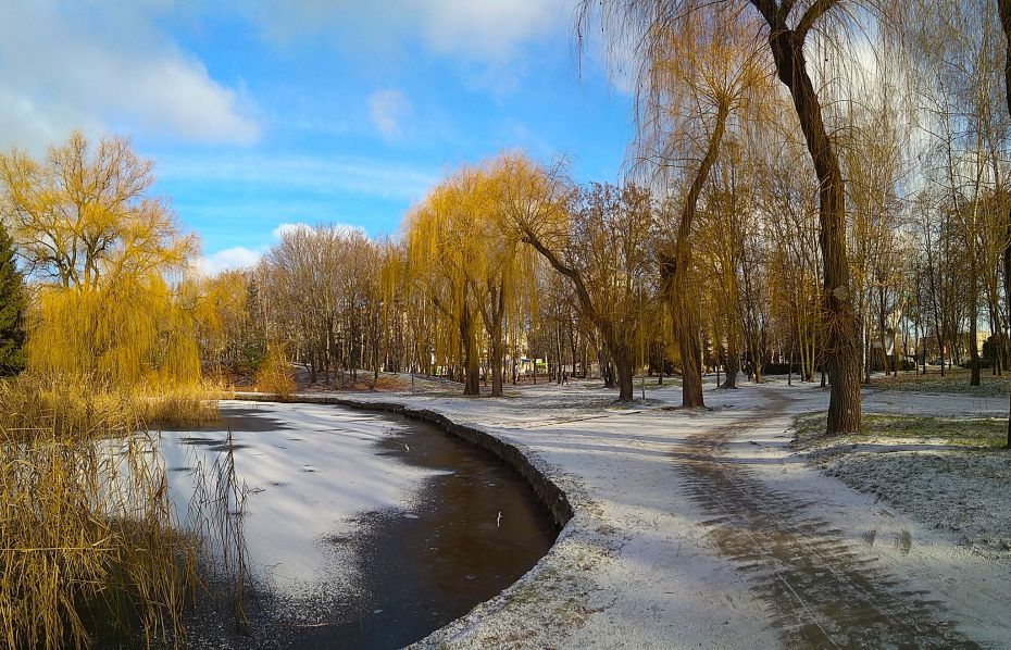 137393247_3833990776623136_6476411976996831987_o