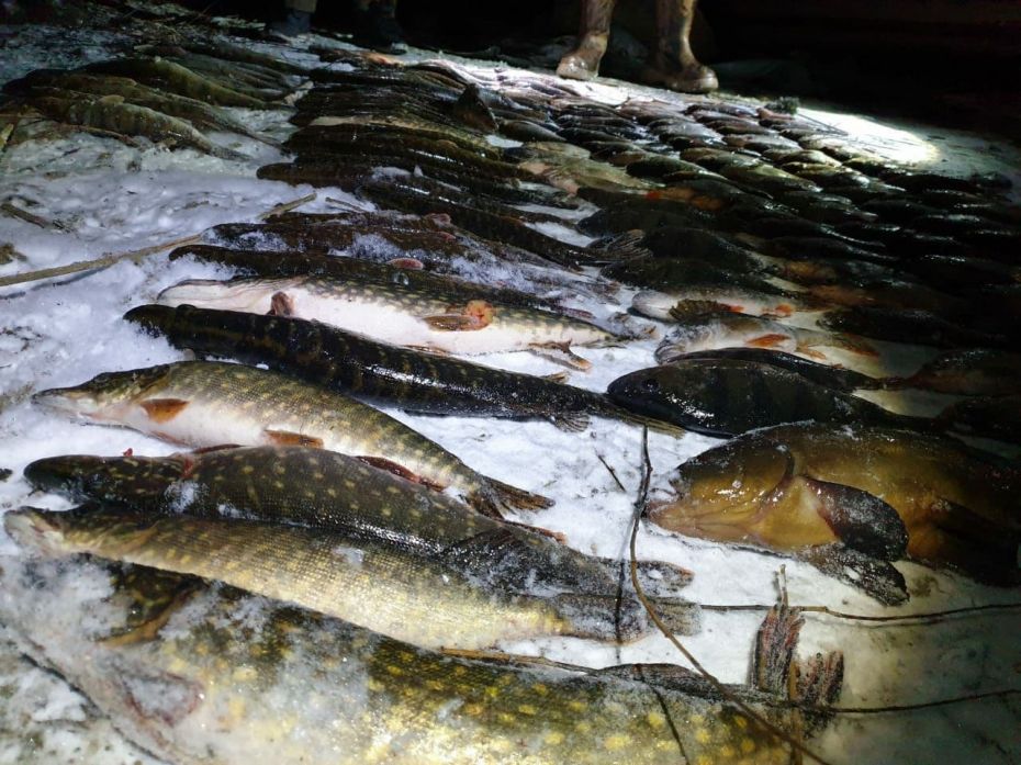 139122496_1515935945268948_7158887711049993810_o