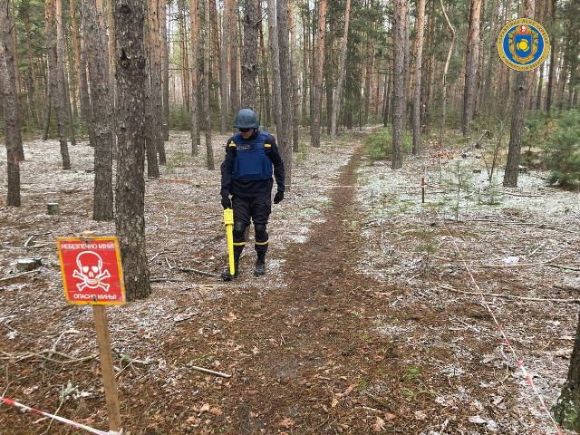 137375413_3661955750507706_1509252922364825974_o