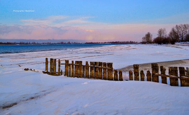 139584373_1748684715300539_7394190186285950091_o