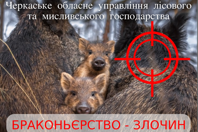 139031872_474067443989636_6277269550792712688_n