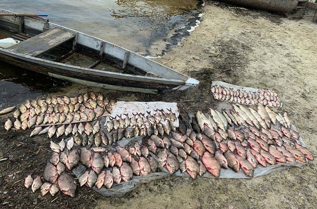 136419143_756795878257745_3353195170844526937_o.V4qqj