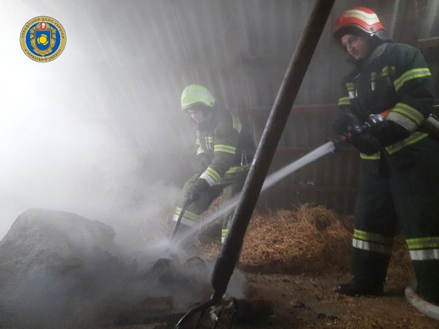 139516574_3681089891927625_5397597219425881128_o