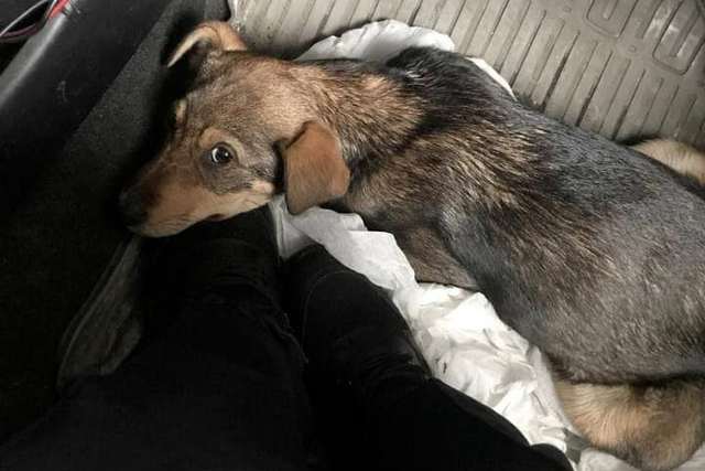 141509796_3617483021663081_3036609090797572514_n