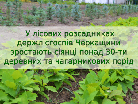 изображение_2021-01-21_083953-e1611210543948