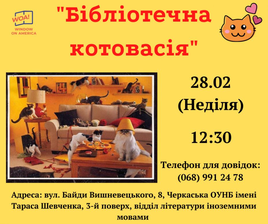 1Бібліотечна котовасія1