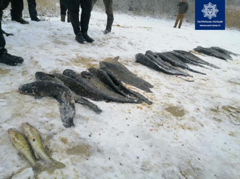 142996114_3631678276910222_2492627306945298185_n