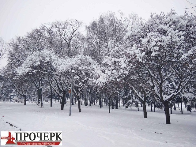 зображення_viber_2021-02-02_09-38-24