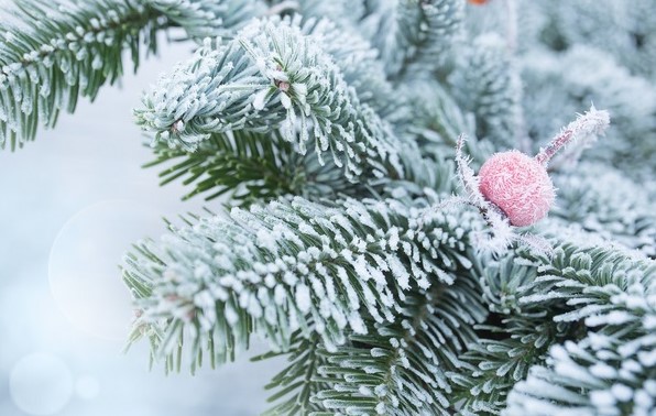 149263507_873466543196342_493430977287313718_n