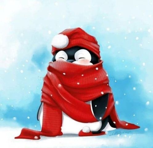 146473350_2791148607865712_5155423829342795723_o