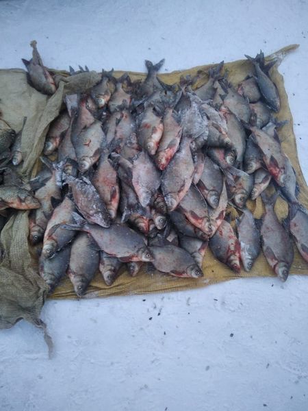 151198758_780706872533312_1565362338623414513_o