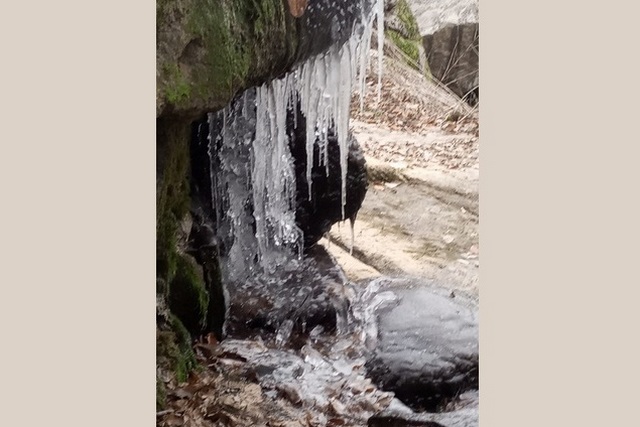 320x-img_20210113_122131_6.657