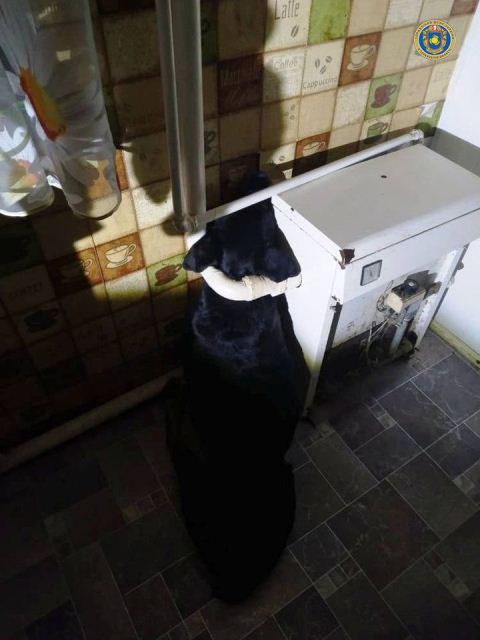 153543708_3771206269582653_6027456022907530630_o