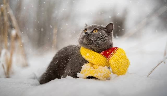 147829288_2793184347662138_5102918391482911459_n