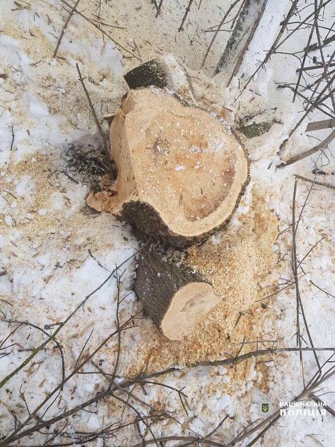 146300120_1058152828003583_202115004172772213_o