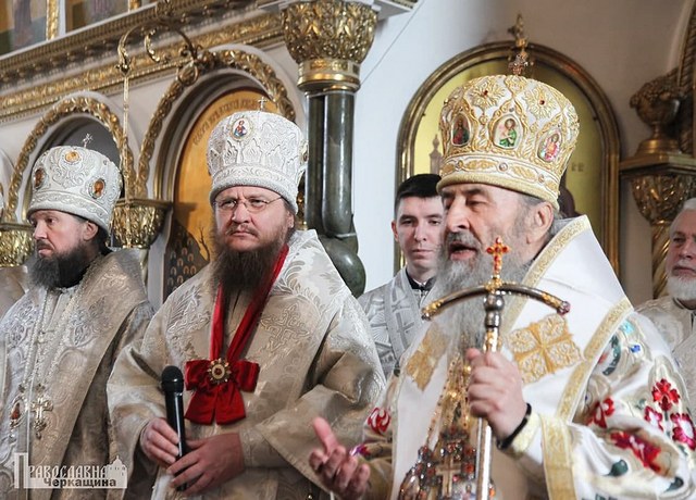 50894044278_247b2c8002_b