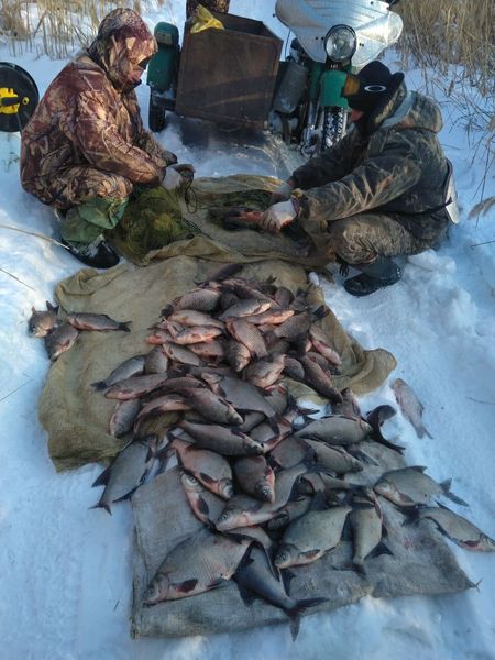 152206696_780706845866648_3379585190359141195_o