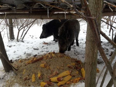 151263301_3862565510448583_2287212701939835691_o