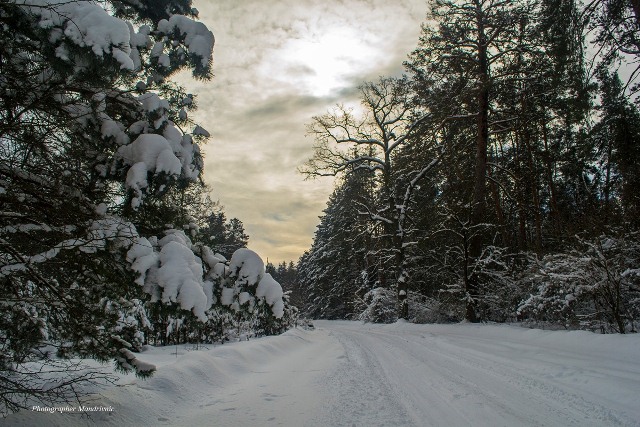 151567110_3695742810516094_2653893072257136128_o