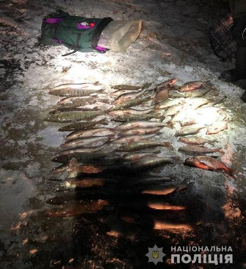 photo_2022-02-06_05-59-47