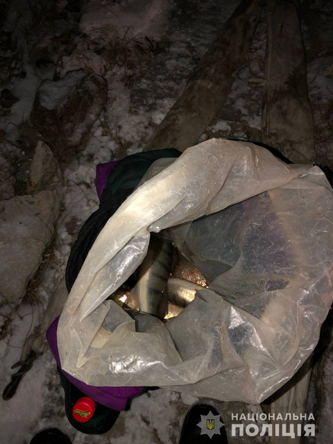 image_2022-02-06_05-48-29