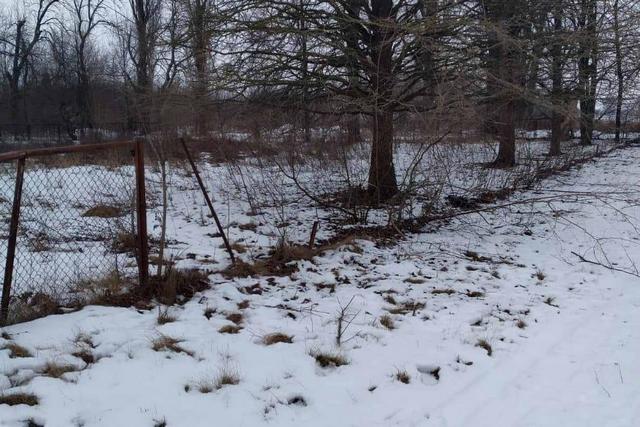 WhatsApp Image 2022-02-04 at 20.02.14