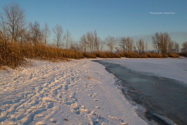 272313433_2025141550988186_4281921005549793351_n