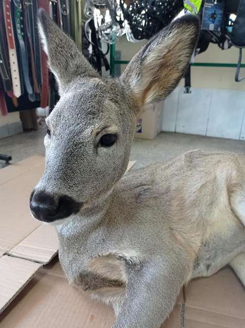 272268065_1993674230815602_6669108109724160529_n