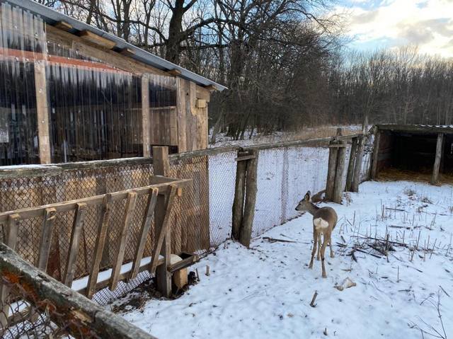 272482095_1993674490815576_7894475286329742660_n