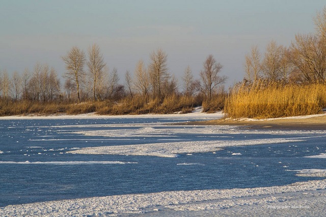 272187850_2025141404321534_8494869715523403947_n