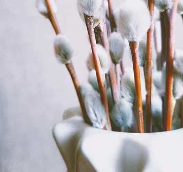 158864059_1905086106313983_5131535028906873831_n