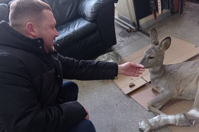 272162458_1993674437482248_7539922843293608103_n